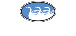 United Feather & Down Logo